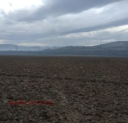Photo 3 — Agricultural Land in Oblast Pazardjik, Sinitovo