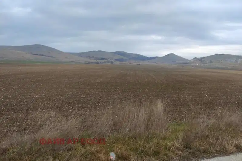 Agricultural Land in Oblast Pazardjik, Sinitovo