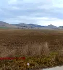 Земеделски имот в Пазарджик, с. Синитово