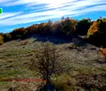 Снимка 4 — Земеделски имот в Перник, Перник