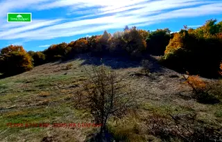 Земеделски имот в Перник, Перник