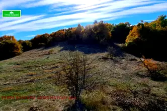 Земеделски имот в Перник, Перник