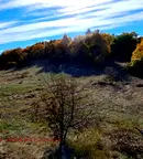 Земеделски имот в Перник, Перник