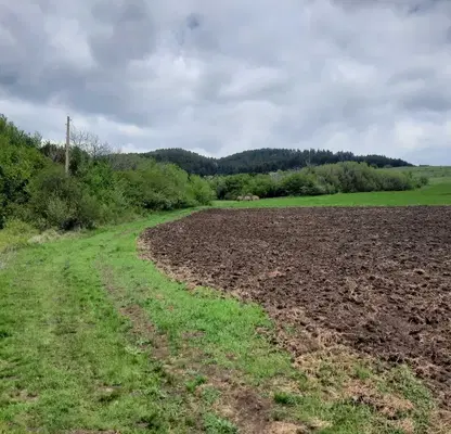 Photo 2 — Agricultural Land in Oblast Pernik, Arzan