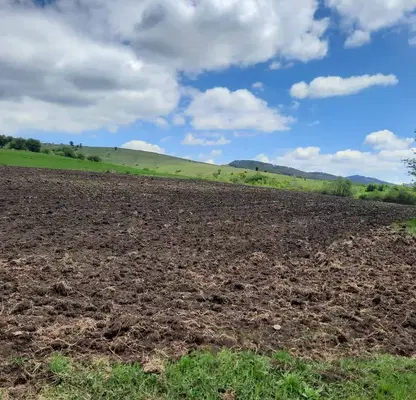 Photo 4 — Agricultural Land in Oblast Pernik, Arzan