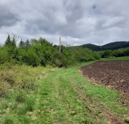 Photo 5 — Agricultural Land in Oblast Pernik, Arzan