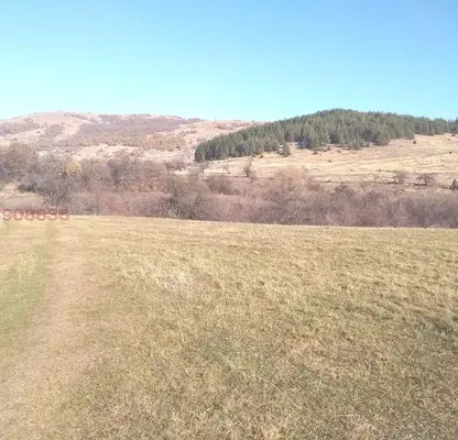 Photo 2 — Agricultural Land in Oblast Pernik, Bosnek