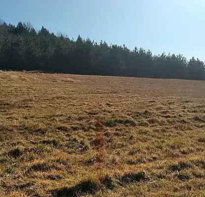 Photo 4 — Agricultural Land in Oblast Pernik, Bosnek
