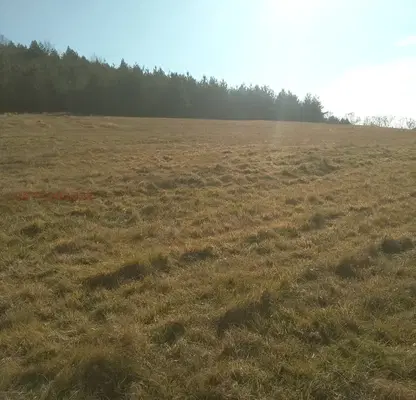 Photo 5 — Agricultural Land in Oblast Pernik, Bosnek