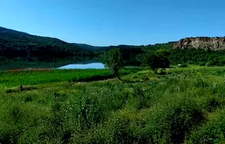 Земеделски имот в Перник, с. Калище
