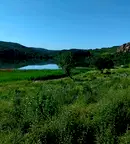Земеделски имот в Перник, с. Калище