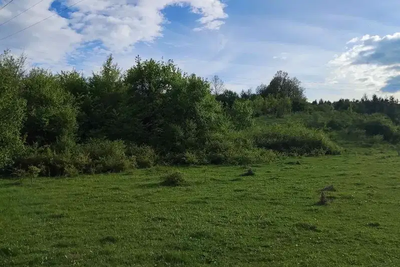 Нива в Перник, с. Студена