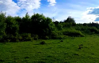 Земеделски имот в Перник, с. Студена