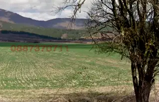 Земеделски имот в Перник, с. Забел