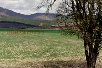 Земеделски имот в Перник, с. Забел