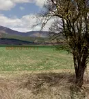 Земеделски имот в Перник, с. Забел