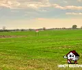 Снимка 4 — Земеделски имот в Пловдив, Асенов