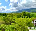 Снимка 4 — Земеделски имот в Пловдив, Асенов