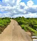 Земеделски имот в Пловдив, Асенов