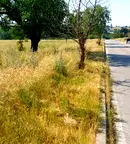 Земеделски имот в Пловдив, Хисаря