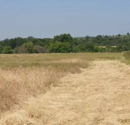 Photo 2 — Agricultural Land in Oblast Plovdiv, Hisarya