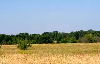 Земеделски имот в Пловдив, Хисаря