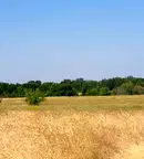 Земеделски имот в Пловдив, Хисаря