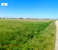 Снимка 3 — Земеделски имот в Пловдив, Пловдив