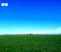 Снимка 5 — Земеделски имот в Пловдив, Пловдив