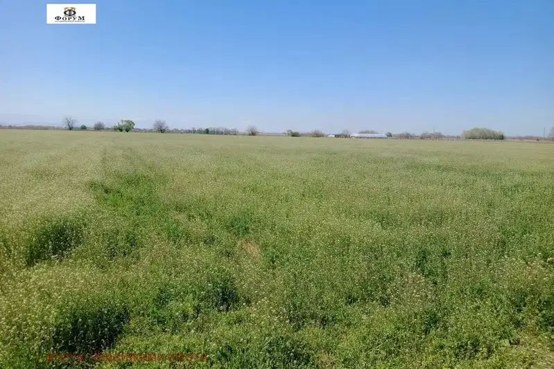 Земеделски имот в Пловдив, Пловдив