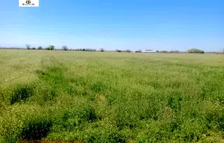 Земеделски имот в Пловдив, Пловдив