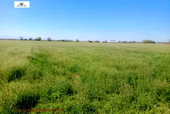 Земеделски имот в Пловдив, Пловдив