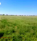 Земеделски имот в Пловдив, Пловдив