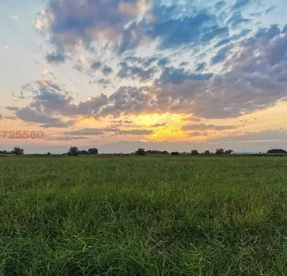 Photo 4 — Arable Land in Plovdiv, Plovdiv