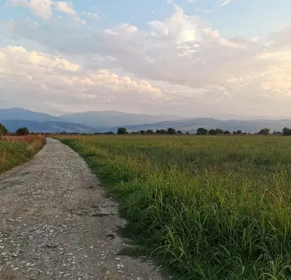 Photo 5 — Arable Land in Plovdiv, Plovdiv