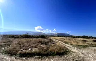 Земеделски имот в Пловдив, с. Брестник
