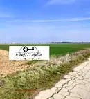 Земеделски имот в Пловдив, с. Царацово