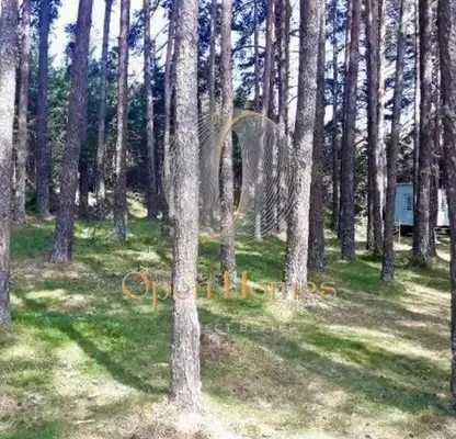 Photo 3 — Agricultural Land in Oblast Plovdiv, Dobralyk