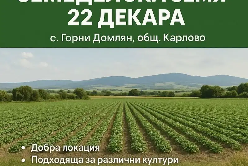 Agricultural Land in Oblast Plovdiv, Gorni Domlyan