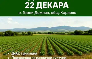 Земеделски имот в Пловдив, с. Горни Домлян