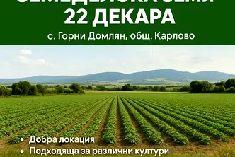 Земеделски имот в Пловдив, с. Горни Домлян