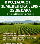 Земеделски имот в Пловдив, с. Горни Домлян