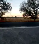 Земеделски имот в Пловдив, с. Катуница