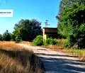 Снимка 4 — Земеделски имот в Пловдив, с. Милево