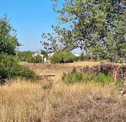Photo 5 — Agricultural Land in Oblast Plovdiv, Milevo