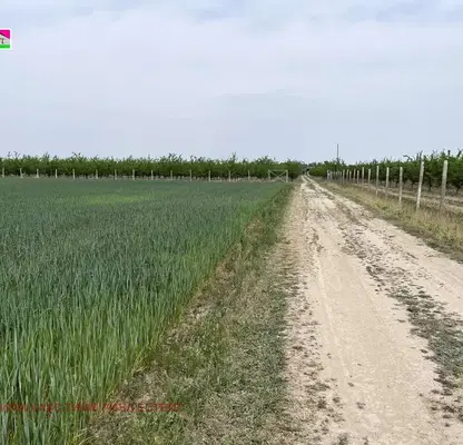 Photo 2 — Agricultural Land in Oblast Plovdiv, Stroevo