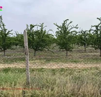 Photo 3 — Agricultural Land in Oblast Plovdiv, Stroevo