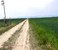 Снимка 4 — Земеделски имот в Пловдив, с. Строево