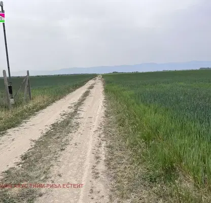 Photo 4 — Agricultural Land in Oblast Plovdiv, Stroevo