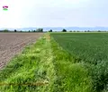 Снимка 2 — Земеделски имот в Пловдив, с. Строево